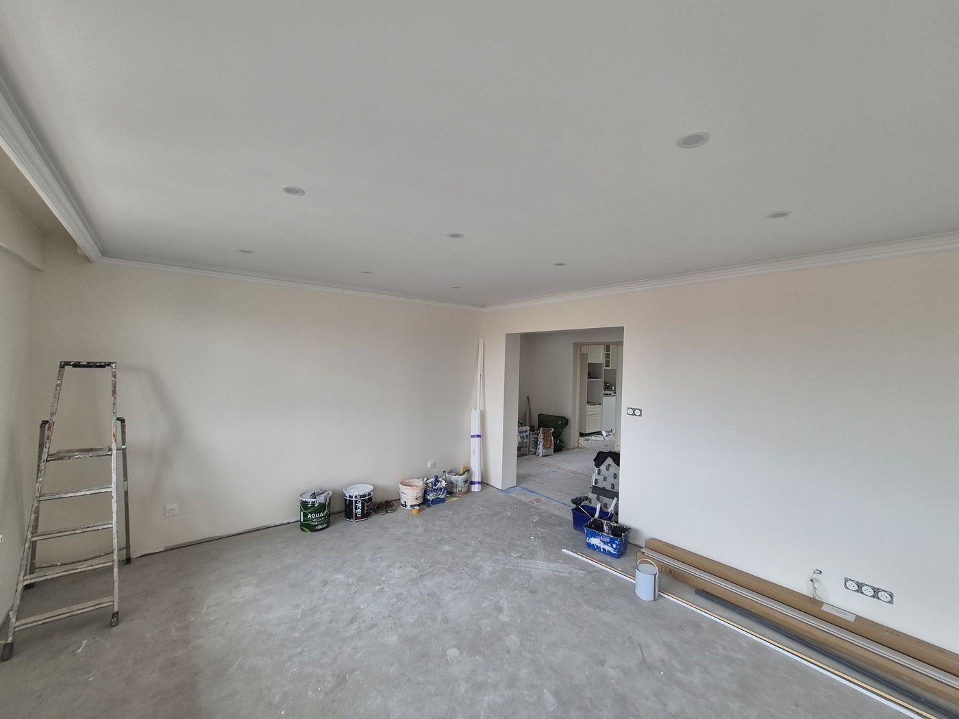 Plâtrerie à Nancy — Grande piece plafond lisse